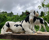 Mother And Daughter