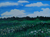 Field of Daisies