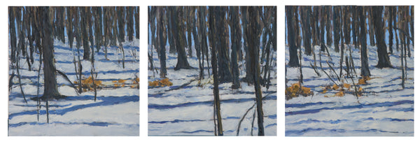 Winter Shadow Trees #2