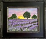 Sunrise On Lavender Fields