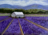 Lavender Farm