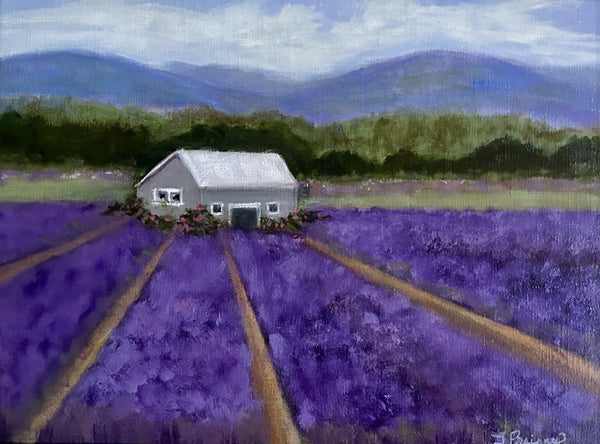 Lavender Farm
