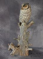 Lifesized Gray Screech Owl