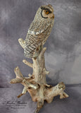 Lifesized Gray Screech Owl