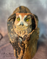 Lifesized Screech Owl in a Tree Hole