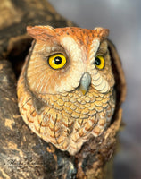 Lifesized Screech Owl in a Tree Hole