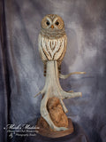 Lifesized Barred Owl