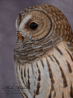 Lifesized Barred Owl