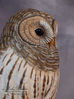 Lifesized Barred Owl