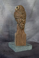 Miniature Barred Owl