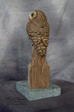 Miniature Barred Owl