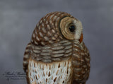 Miniature Barred Owl