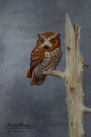 Miniature Screech Owl