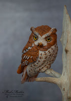 Miniature Screech Owl