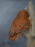 Miniature Screech Owl