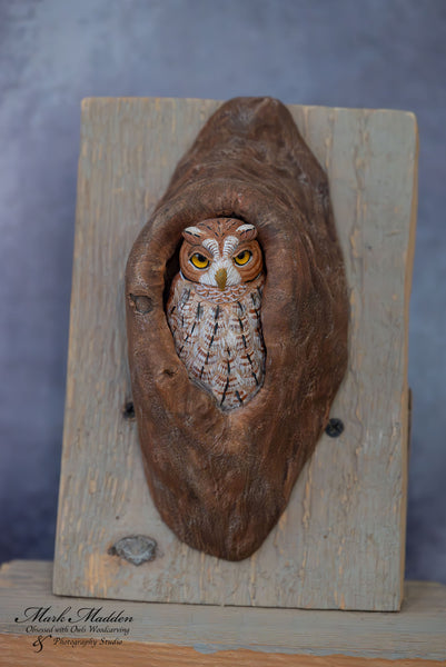 Small Screech Owl Wall Hanging