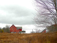 Ice Pond Farm