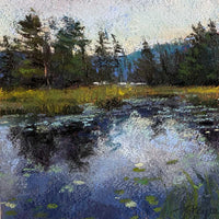 Adirondack Marsh Study