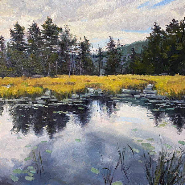 Adirondack Marsh